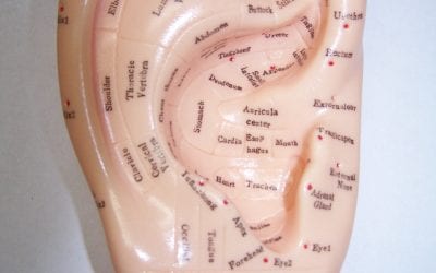 Ear Reflexology Benefits