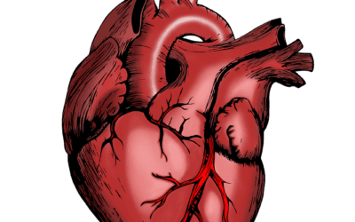 Atrial Fibrillation Reduced – Client Observation