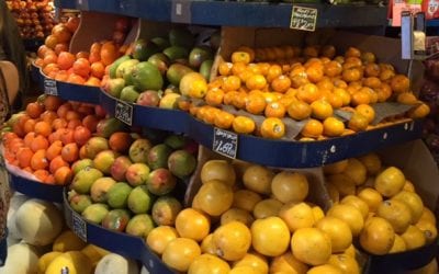 8 Immunity Boosting Foods for the Winter Months