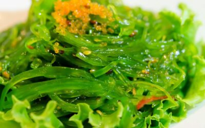 Seaweed Salad – Recipe