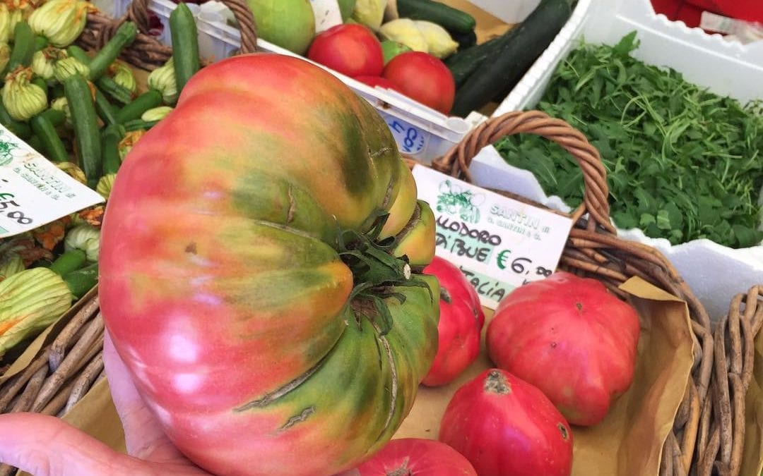 Look at the size of this #heirloomtomatoes. It’s so #beautiful. #foodstagram #foodie