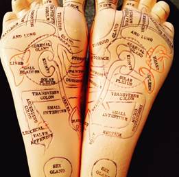 Dr. Oz a Believer in the Ancient Healing of Reflexology