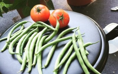 Food Waste Can Save Your Garden – Compost Away