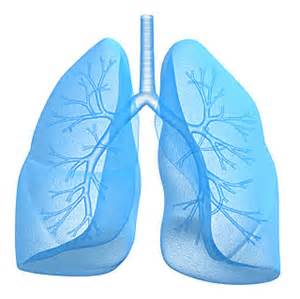 Do You Have Troubles Breathing Because of Emphysema? Try Reflexology ...