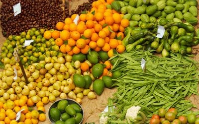 Why You Need Microflora and Probiotics for Gut Health