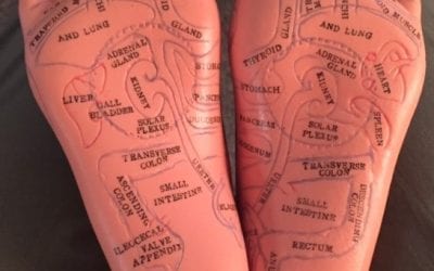 Try a Certified Reflexology Session Today