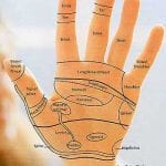  Reflexology Healing Medfield MA