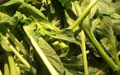 #chinesegreens #food #foodie with garlic and #fishsauce #healingplacemedfield