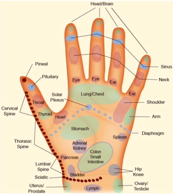 Video: Nausea and Dizziness Relief with Hand Reflexology