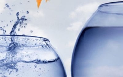 Signs of an explosive blessing in progress – 1. Feeling peaceful and balanced 2. Feeling comfortable in your skin 3. Feeling confident 4. Feeling no fear 5. Feeling a connection to the universe and everyone Practice one fearless feat today. Helen Chin Lui, www.healingplacemedfield.com #healing #energyhealing #bewell #chakras #positivity #ENERGY #mindbodyspirit #selfhealing #holistic #highvibelife #reiki #health #donthatemeditate #belight #energyhealers #beintheflow #energymedicine #breaknegativity #mindfulness