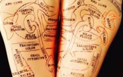 Know Your Reflexology People ask me all the time what is the difference between a foot rub and certified Reflexology session. Unfortunately, many of these so call reflexology establishments or foot massage parlors give certified reflexology a bad name. Few or none of these established are trained in the healing art of Reflexology. A foot reflexology certification class is 300 hours long comprising of anatomy, physiology, practice and clinician sessions. In my training I also had to write a thesis. Mine was on “Can Reflexology help to diminish or eliminate medication intake.” During my 100 clinician sessions, I found that reflexology can help to reduce or stabilize medication intake, but it could not eliminate intake. Foot massage parlor offers what I call “show reflexology” where all the technicians begin and end the session at the same time. To learn about this type of service, I decided to visit several foot massage parlors to draw my own conclusion. I found the sessions had a “show” feeling, they were relaxing, but I am not certain how effective they are. They do walk the “zones,” meaning they touch points on the bottom of the feet, but there was no emphasize on anything. (Nothing on the top or sides of the feet.) I call this “touching everything but touching nothing at the same time.” I knew exactly what they were doing. The technicians did not speak English. If you have questions, they can’t be answered. Be educated and make your own decision. Don’t let the low cost lure you to believe you are getting a real Reflexology session. Ask questions. The easiest one is “how many hours of Reflexology training have you had?” And if they can’t answer…well…. #reflexology Read article below http://healingplacemedfield.com/difference-foot-rub-reflexology/ #healing #energyhealing #bewell #chakras #positivity #ENERGY #mindbodyspirit #selfhealing #holistic #highvibelife #reiki #health #donthatemeditate #belight #energyhealers #beintheflow #energymedicine #breaknegativity #mindfulness #getintouch #reflexology