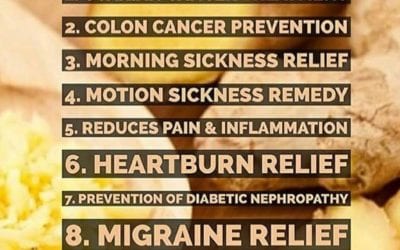 We use a lot of ginger in Asian cooking. I even make ginger tea with honey and lemon when I feel like I’m coming down with a cold. #ginger #digestion #asiancoldremedy #holistic #holisticnutrition #healing