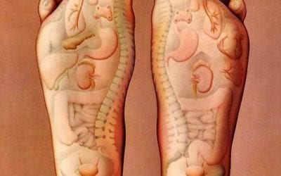 I can’t believe how many sick people I have seen for reflexology to relieve the pain associated with…