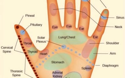 Reflexology is a modality that is becoming recognize as an effective healing tool to support and…