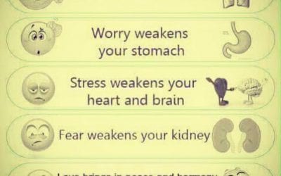 If we only knew how our emotions eat away at us. I use this chart to begin all of my #reflexology…