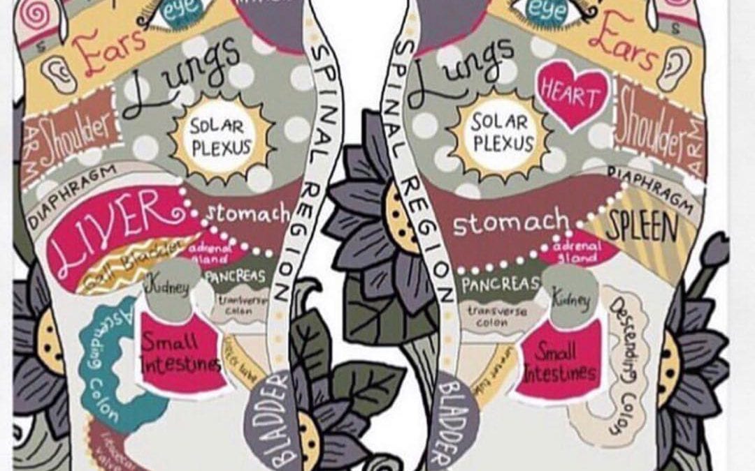 I love this foot reflexology map. These points are slightly different from what I know them to be. I…