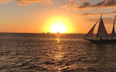 Feeling the sun. Focus on #being and not just the doing. Can life be any better? #energyhealing #healingplacemedfield