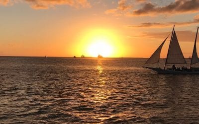 Feeling the sun. Focus on #being and not just the doing. Can life be any better? #energyhealing #healingplacemedfield