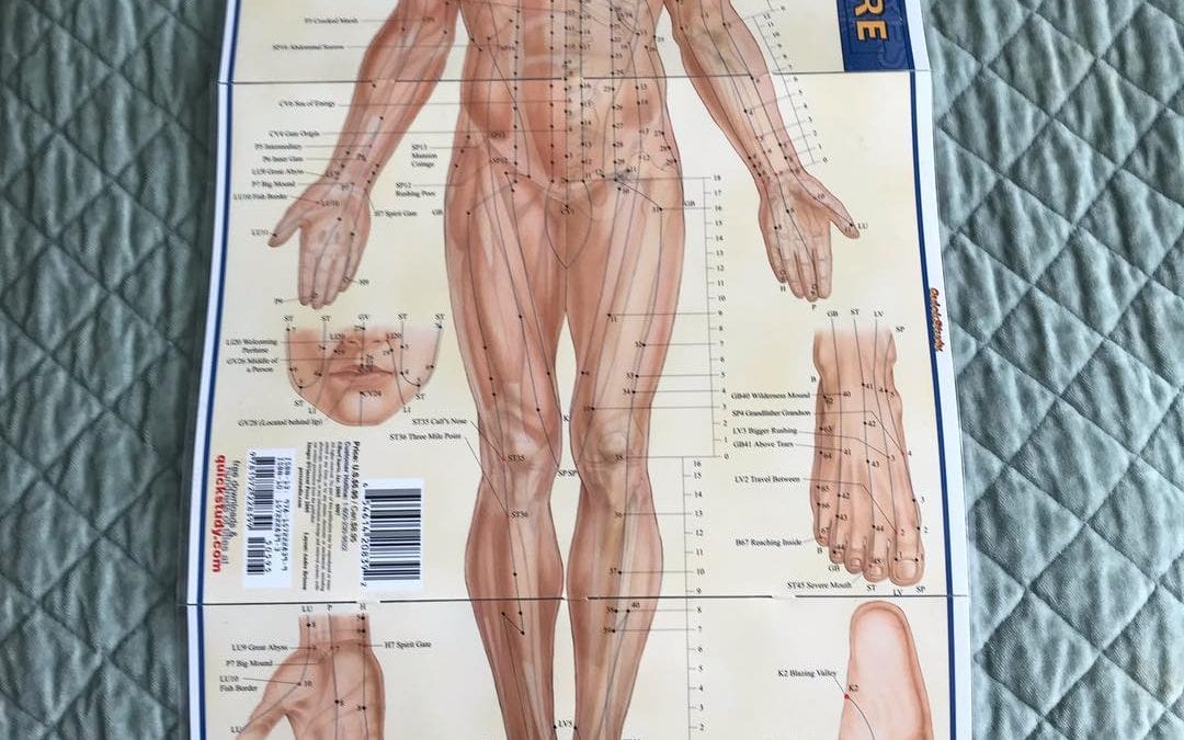 I use this #acupressure and #meridian map in my #reflexology session #healingplacemedfield #energyhealing
