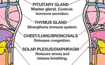 Summer #allergies bothering you? Try these #foot #reflexology tips. Press on points #healing #energyhealing
