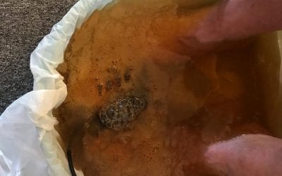 #yeast #ionicfootdetox $35 #healingplacemedfield 508-359-6463