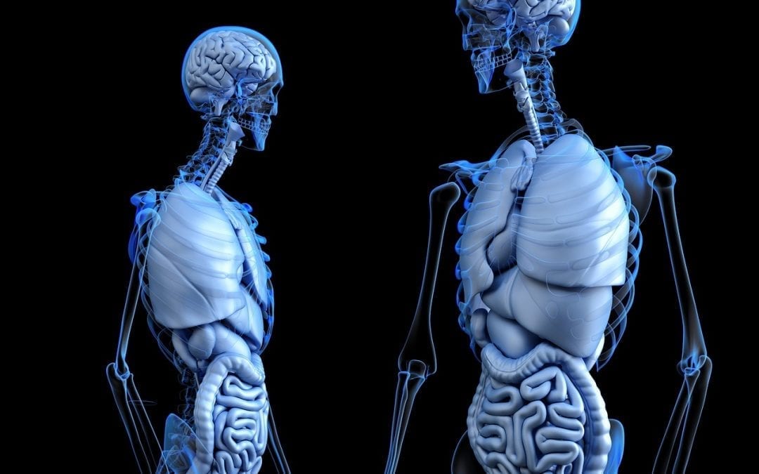 Our Organs Have Their Own Consciousness And We Can Talk to Them