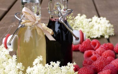 Elderberry Syrup Benefits and Recipe