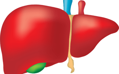Video: Liver and kidney Function Support with Hand Reflexology