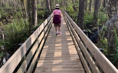 New Course – First Step to Your Spiritual Journey I just created a 17-part series First Step to Your Spiritual Journey for the Healingplaceenergyschool.com This course is for anyone who is beginning or has begun their awakening process and needs guidance. I remembered when I began my awakening in the 70’s, I had no one to ask questions about how I felt nor were there books on the subject. I was lost, confused, and had no idea what was going on. I wanted to ask questions, but I didn’t know what to ask or who to talk to. I didn’t want to be weird and strange. At that time the only super natural influence that I could identified with was a TV character, Samantha the witch on the old TV show, Bewitched. I wanted to be Samantha. I’m so excited to share this knowledge with you!! If the Calling has begun calling you, I can help by giving you guidance and hold your hand during the process. This series includes 15 powerful and transformation lessons Your awakening process Your spirit and being comfortable in your skin Your soul desires The series also includes healing meditations, Intuitive developing exercise and mindful journaling exercises. I’m so excited. More information to come. Helen #energymedicine #selfheal #healingplaceenergyschool #chakras #awakening #spirituality #spiritualawakening #soul