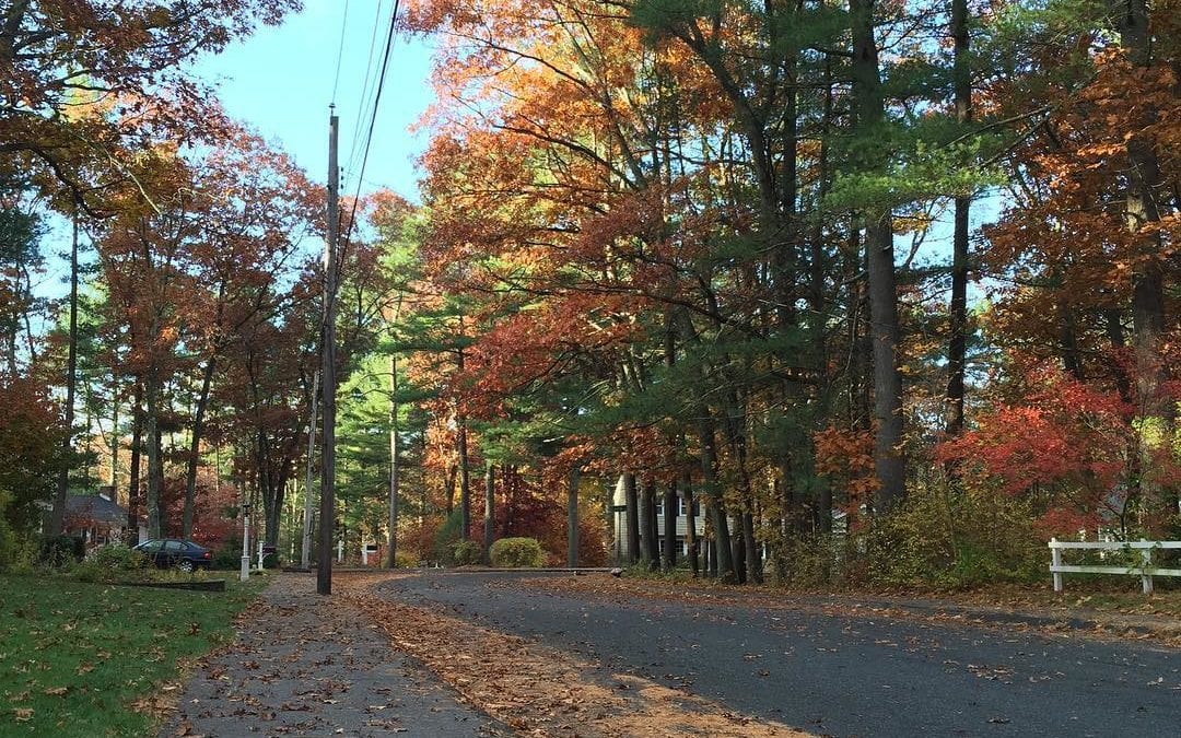 A look of #fall after a #rain. #beautiful #refreshing