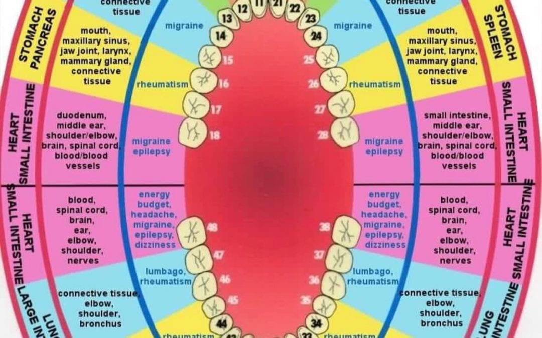 #dental #chakra chart. #healingplacemedfield