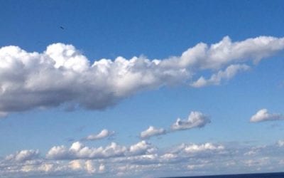 Our days are comprise of many simple pleasures. Take time to look and appreciate your simplicities. Mine are 1. Waking up in a warm bed every day. 2. My son for making me a bowl of oatmeal almost every morning. 3. My husband for making me a cup of coffee every morning. 4. My legs taking me where I want to go every day. 5. My hands doing God’s work. What are your simple pleasures?