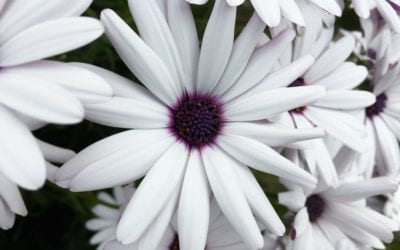 Recognize Your Gifts