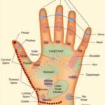  Reflexology Healing Medfield MA