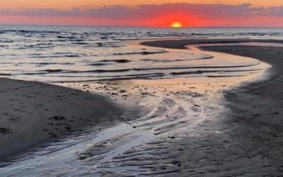 Don’t Let The New Normal HiJack Your Positive Energy – Energy medicine https://youtu.be/dnwEdAG4L_w #energywork #energymedicine #mindbodyspirit #selfcare #selfhelptips #healyourmind #wellnesstips #stressrelief #healyourself #quicktipswithhelen #holistichealth #naturalhealing #holistic #holistichealth #quicktip #quicktipswithhelen #healinghands #energy #bodymindspirit #healyoursoul #alternativehealing #alternativemedicine