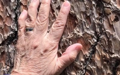 Support Lung and Respiratory with Hand Reflexology https://youtu.be/o0BO-k17iDM #reflexology #stressrelief #healyourself #quicktipswithhelen #holistichealth #respiratory #selfhelptips #healyourmind #wellnesstips #nomorestress #healthyliving #mindbodyspirit #healyourfeethealyourbody #healthyfeet #pressurepoints #healthybody #healyourbody #naturalhealing #holistichealth #guthealth #handreflexology