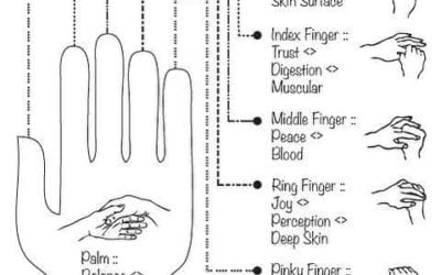 By massaging each finger and thumb check out what corresponds to #handhold #pressurepoints #reflexology #stressrelief #holistichealth #wellnesstips #healingplaceenergyschool #quicktipswithhelen #health #energyhealing #chakra