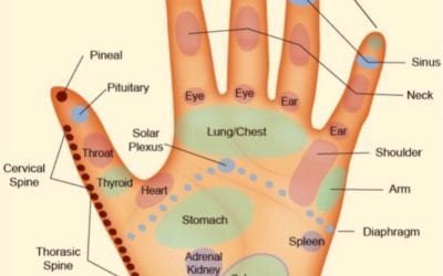 Build Your Immune System with Hand Reflexology – live demo https://youtu.be/njDWOy-vtfE #covid19 #immunesupport #reflexology #footreflexology #selfcare #holistichealth #holisticmedicine #handreflexology #healthyfeet #pressurepoints #footmassage #healthybody #healyourbody #naturalhealing #holistichealth #guthealth #quicktip