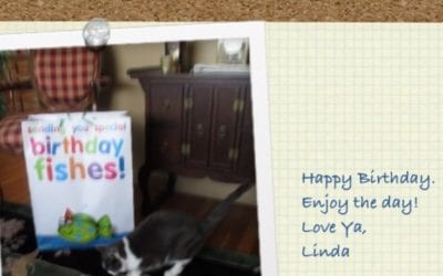 Even #kitty is wishing me a #happybirthday