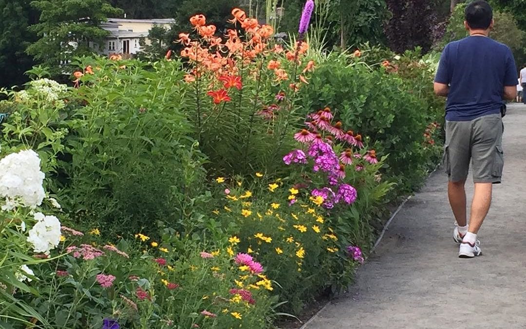 #Bridge of #flowers #shelburne falls.