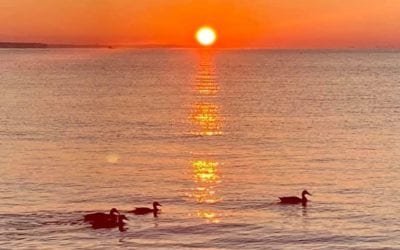 Energy Flow and Your Breathe I feel like doing a FB live chat today on a subject that everyone can relate to, but don’t think about – What happens to your energy flow when you stop breathing? Everyone stops breathing unconsciously from time to time when we are stressed. I want to share some tips on how we can be more loving to ourselves. Are you up for this discussion? 12pm EST #energy #healing #yourspirit #yourwellness #chakras #healingplaceenergyschool #quicktipwithHelen #wellness #mentalhealthawarenessmonth