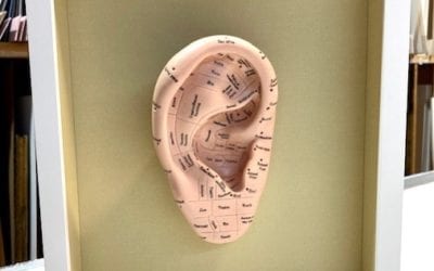 Best smile of the week Reflexology Serendipity Hi Helen, I hope this finds you healthy and well. After having my reflexology ear sitting on a shelf for a long, I decided to put it into a frame. A natural choice for me being a picture framer. There is no glass and the ear rests on a hanger attached to the fabric mount so it can easily be removed for use. I’ve always appreciated it aesthetically as well as functionally. I am excited to get it home and hang it on thr wall. Here’s a photo I took at the frame shop. Best to you, stay safe! Cheri (Thank you Cheri) If you would like to purchase and a Reflexology model for $19.95 plus shipping https://healingplaceenergyschool.com/foot-ear-models/ #healingplaceenergyschool #Reflexology #EarReflexology #wellness #holistic #tinnitus #smilemoment #healingplaceenergyschool