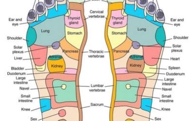 My favorite foot reflexology chart. Want to learn deep relaxation technique that you can do on yourself and your loved ones? Easy to do. No special equipment. Accompanying manual. 100% holistic. https://courses.healingplaceenergyschool.com/courses/foot-reflexology-for-relaxation-5-parts-including-accompanying-manual/ I’m proud of my online school #healingplaceenergyschool #footreflexology #holistichealth #selfcare #noninvasive #selfhealing