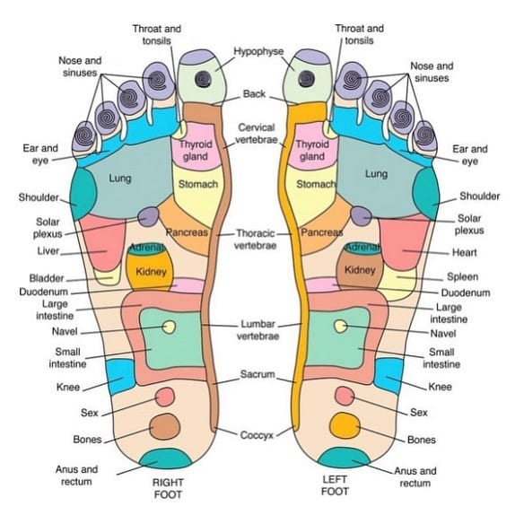 My favorite foot reflexology chart. Want to learn deep relaxation technique that you can do on yourself and your loved ones? Easy to do. No special equipment. Accompanying manual. 100% holistic. https://courses.healingplaceenergyschool.com/courses/foot-reflexology-for-relaxation-5-parts-including-accompanying-manual/ I’m proud of my online school #healingplaceenergyschool #footreflexology #holistichealth #selfcare #noninvasive #selfhealing