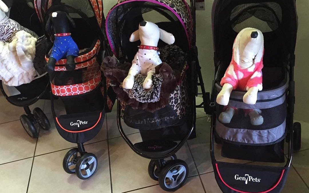 Ive never been to a doggie luxury boutique that had some many dog carriages. As my mother would say “dogs in American are treated better than the people in China.” #dogcarriage #dog