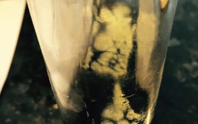 I found it very interesting to find #mold in my #maplesyrup this morning. Since i have an inquisitive mind I did some research. This is called xerophile mold. Can’t kill you but it can make you sick. I read an Article that suggested to remove mold and reheat syrup to 200 degrees to kill mold spores. Interesting. I’ll throw the syrup away. Why chance it! #food #nothealthy