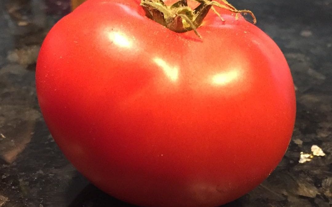 Finally, I harvested my first #tomato