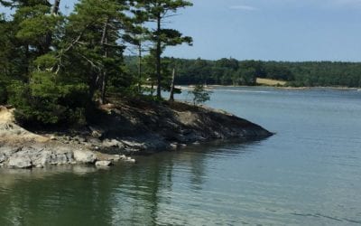 Life is very quiet in #Maine. Many good places for sitting and pondering. #meditation