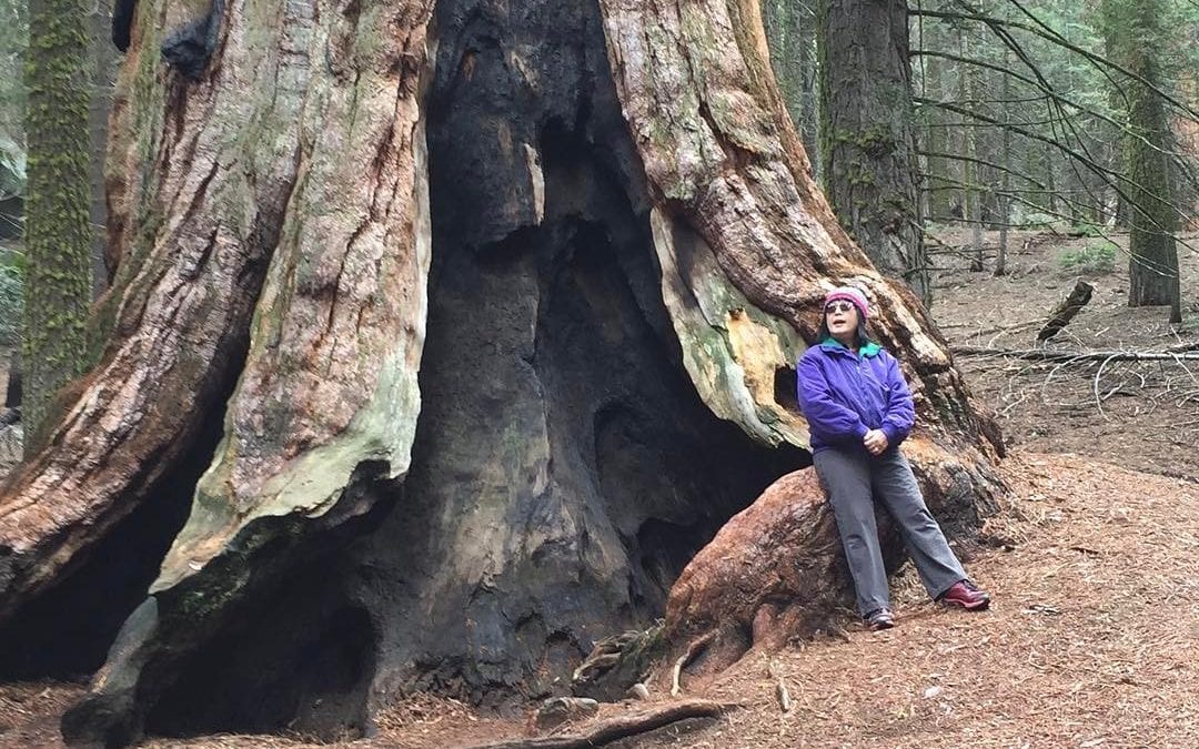 #Meditating at #sequoiagrandforest