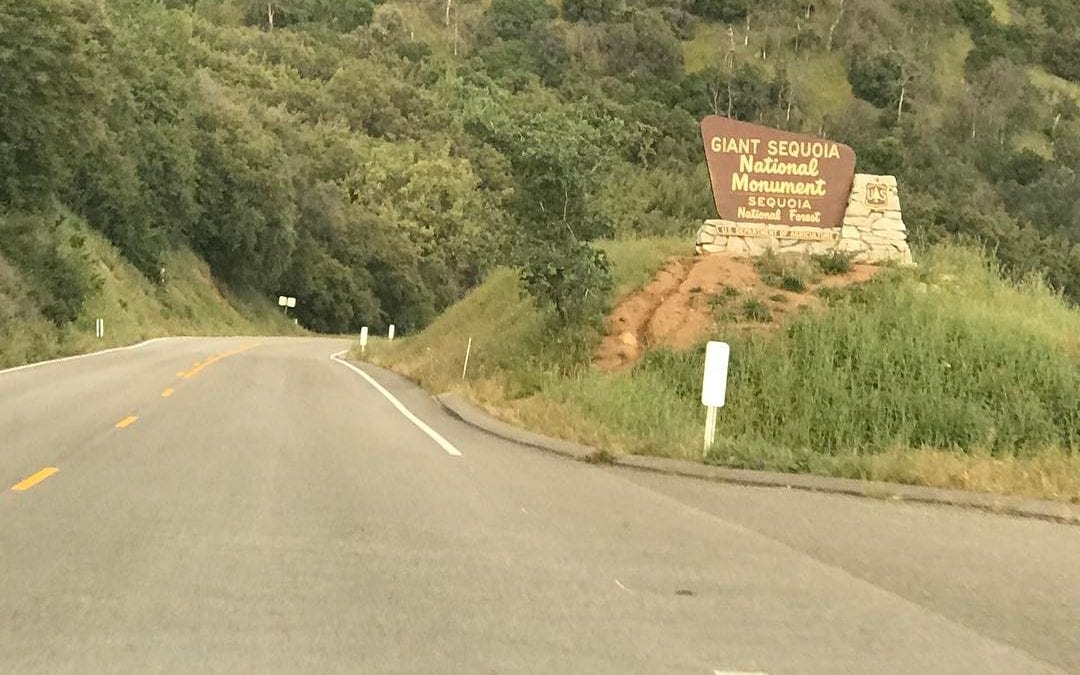 Grand sequoia national park. Welcome.